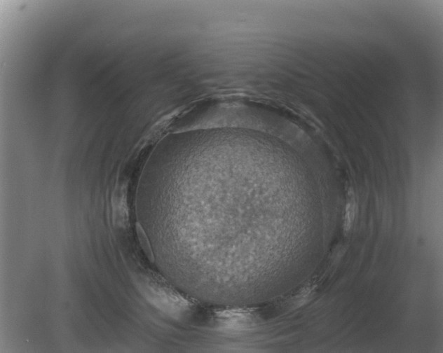 X0000080730516200612221256