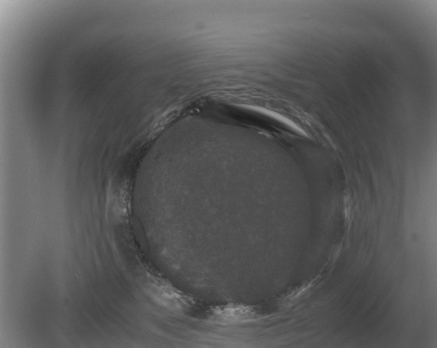 X0000080730517200612221256