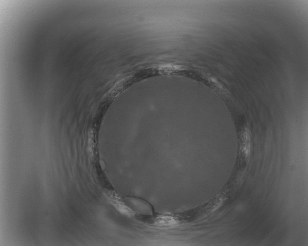 X0000080730519200612221256