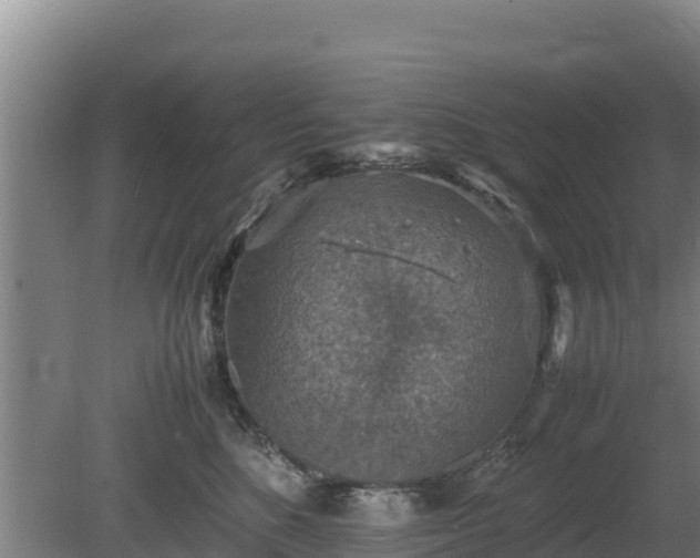 X0000080730520200612221256