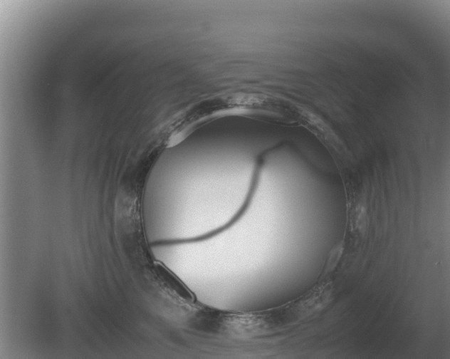 X0000080730521200612221256