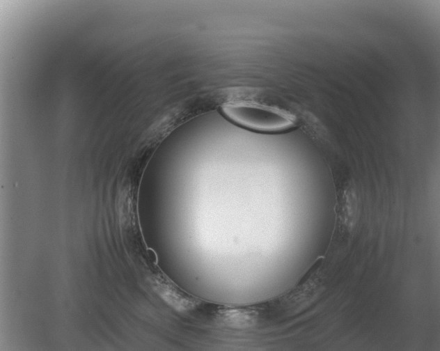 X0000080730522200612221256