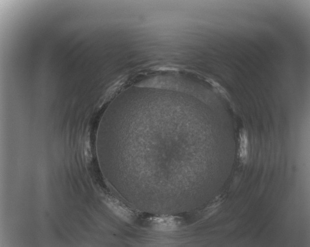 X0000080730524200612221256