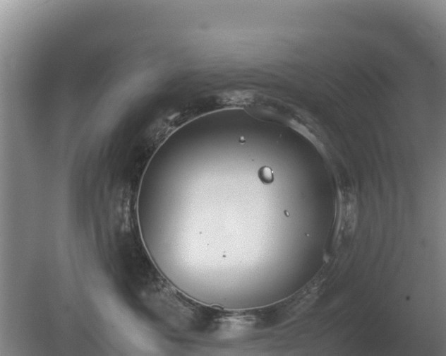 X0000080730525200612221256