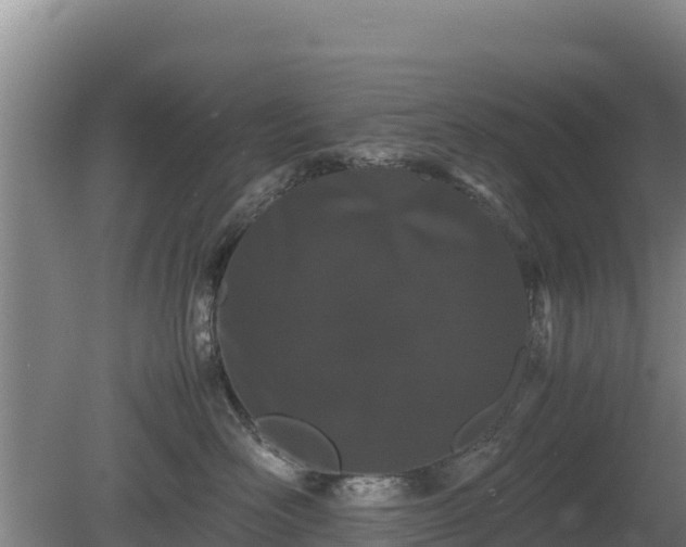 X0000080730526200612221256