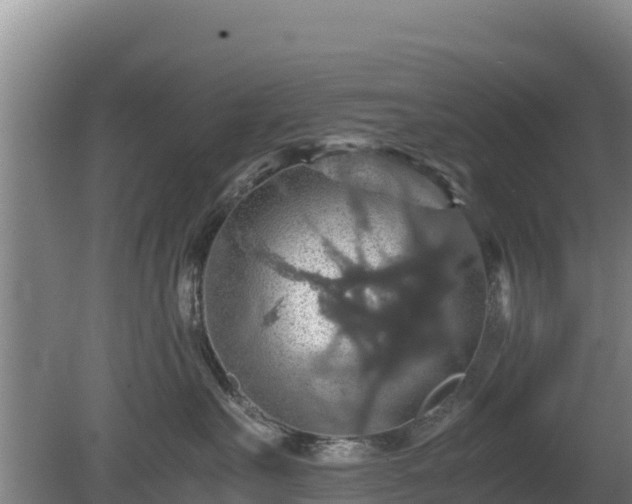 X0000080730527200612221256