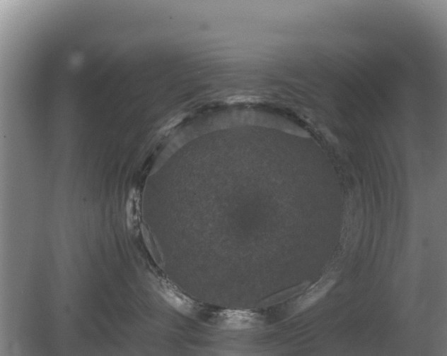 X0000080730528200612221256