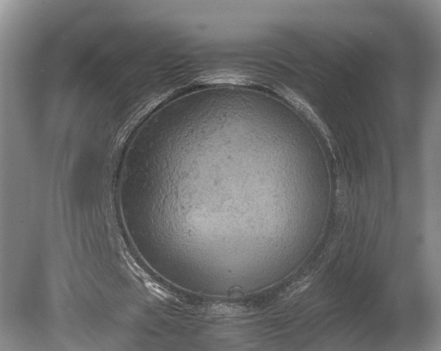 X0000080730529200612221255