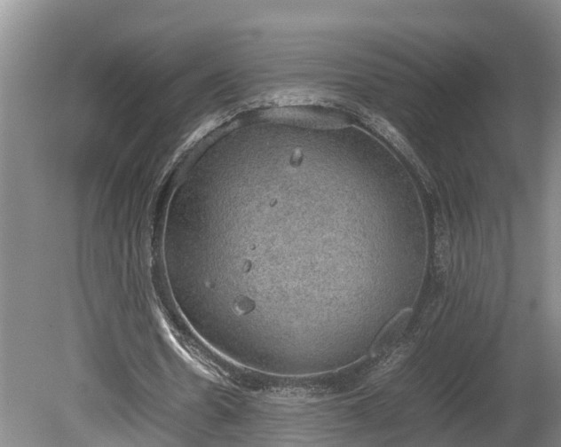 X0000080730530200612221255