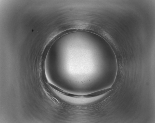 X0000080730532200612221255