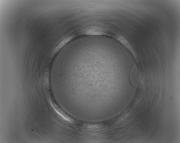 X0000080730533200612221255