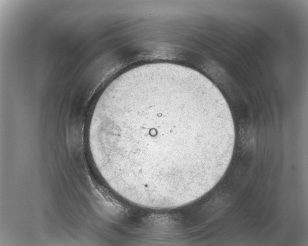 X0000080730534200612221255