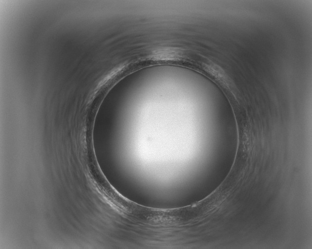 X0000080730535200612221255