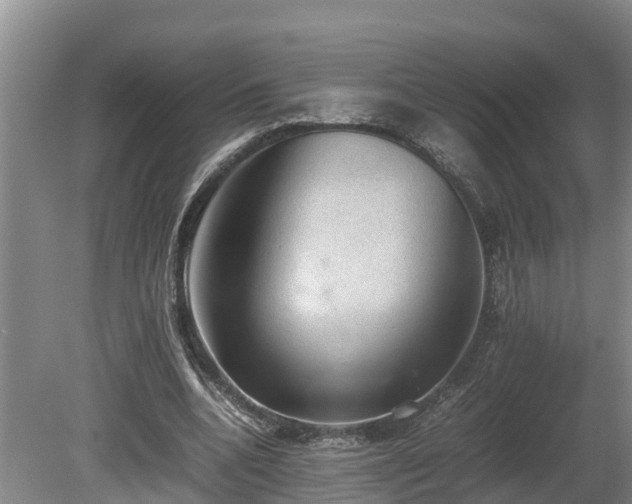 X0000080730536200612221255