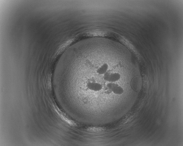 X0000080730537200612221255