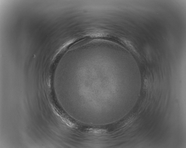 X0000080730539200612221255