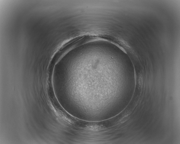 X0000080730540200612221255