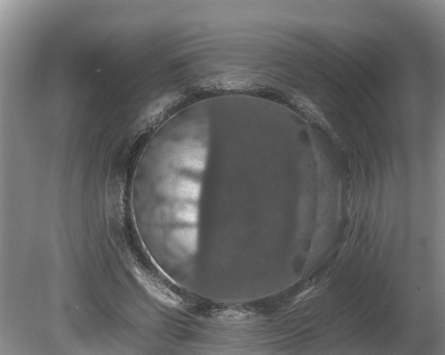 X0000080730542200612221255