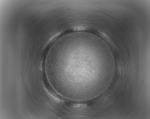 X0000080730543200612221255