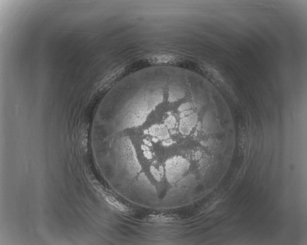 X0000080730545200612221255