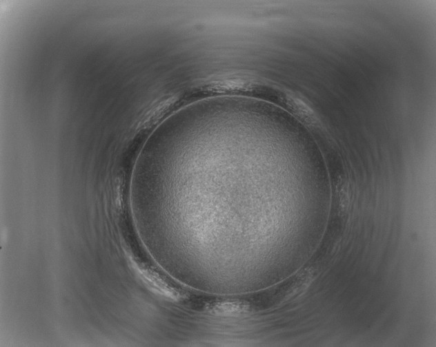 X0000080730546200612221255