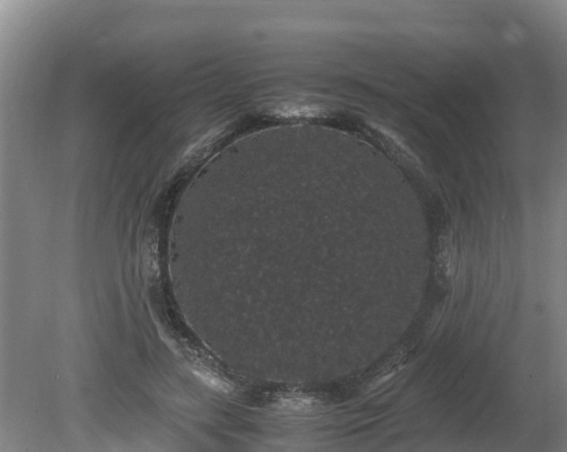 X0000080730547200612221255