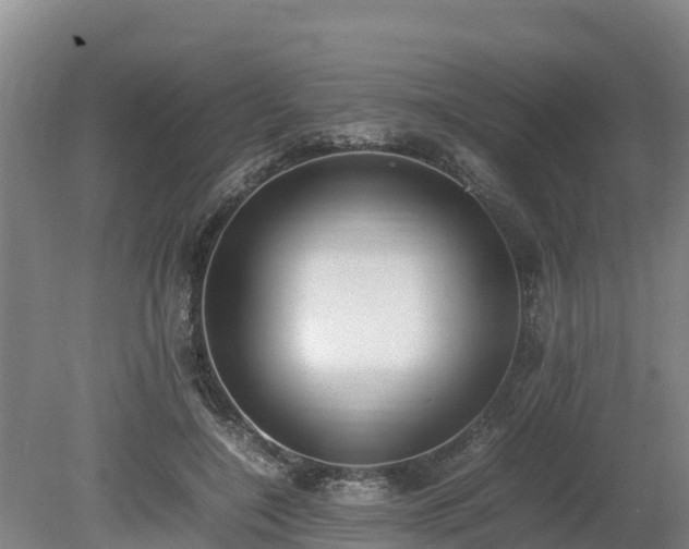 X0000080730548200612221255