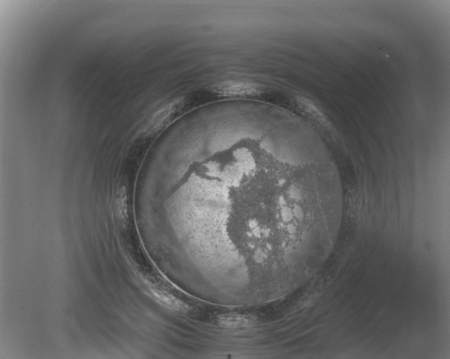 X0000080730549200612221255