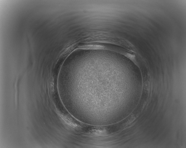 X0000080730552200612221255