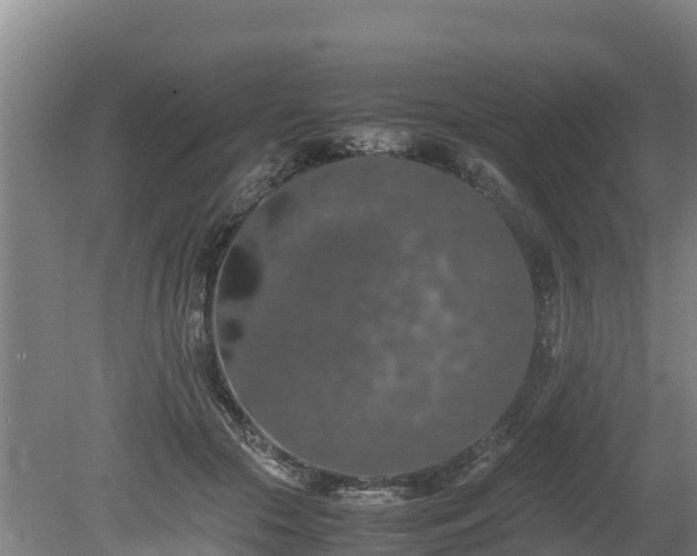 X0000080730553200612221256