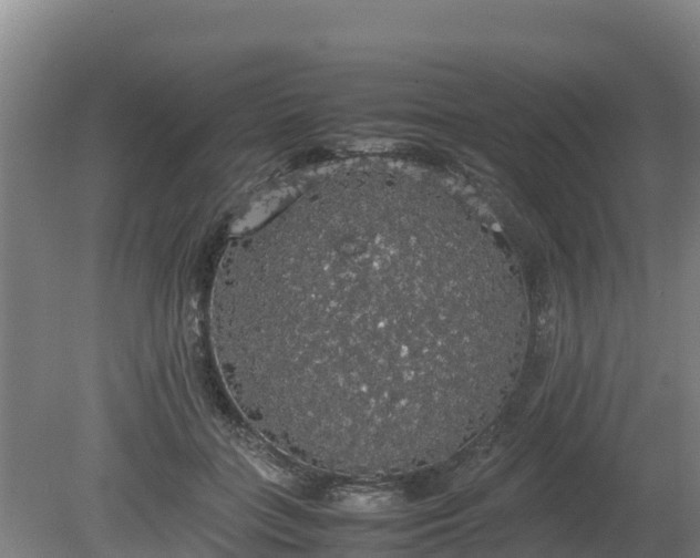 X0000080730555200612221256