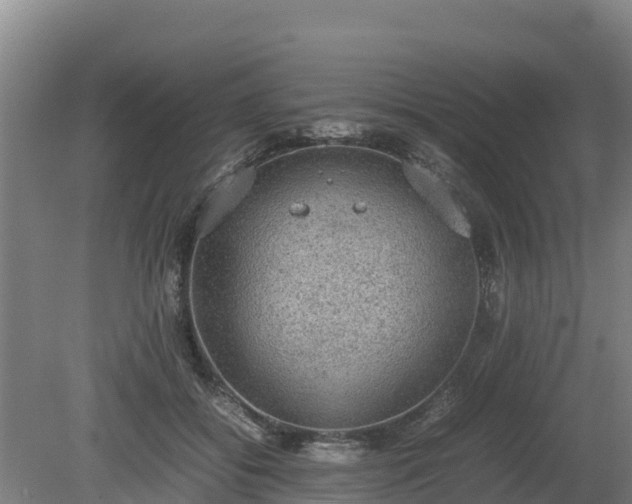 X0000080730556200612221256