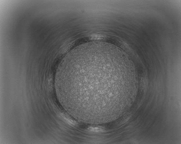 X0000080730557200612221256