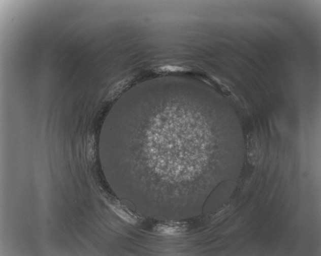 X0000080730563200612221256