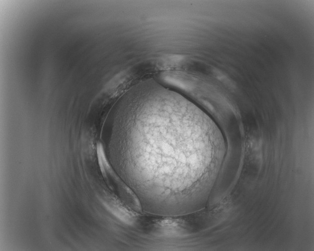 X0000080730566200612221256