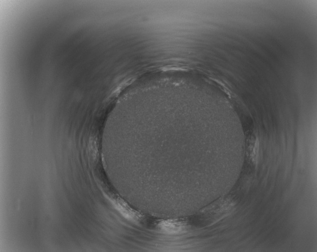 X0000080730568200612221256