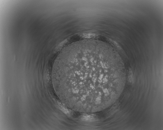 X0000080730569200612221256