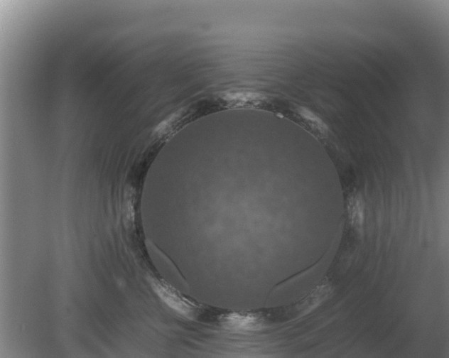 X0000080730570200612221256