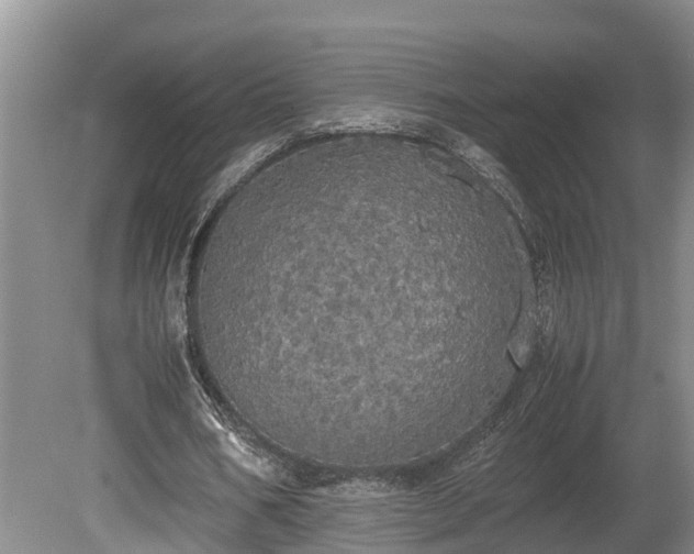 X0000080730578200612221255