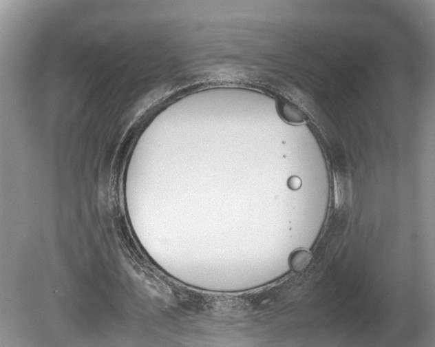 X0000080730579200612221255