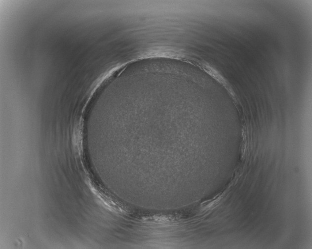 X0000080730580200612221255