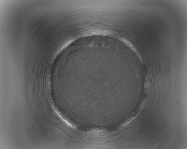 X0000080730581200612221255