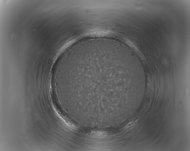 X0000080730582200612221255