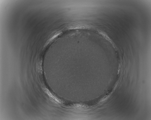 X0000080730585200612221255