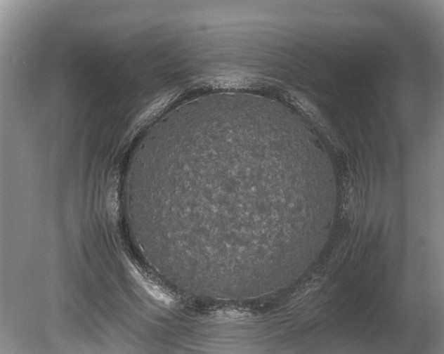 X0000080730586200612221255