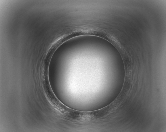 X0000080730587200612221255