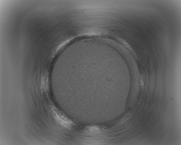 X0000080730588200612221255