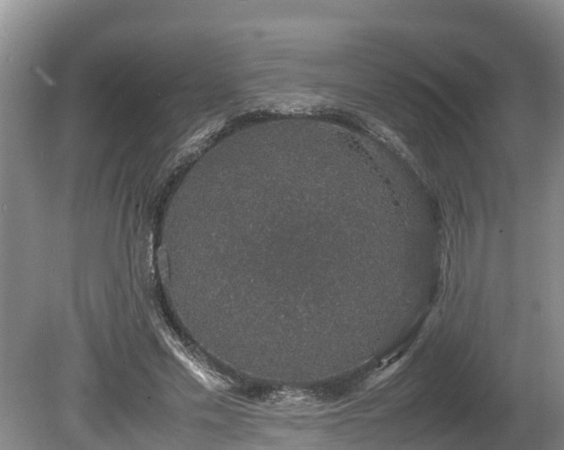 X0000080730589200612221255