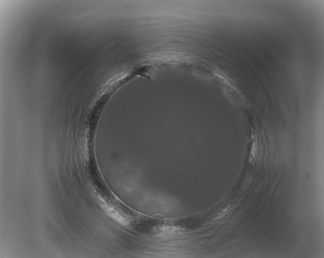 X0000080730590200612221255