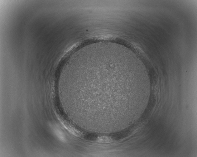 X0000080730591200612221255